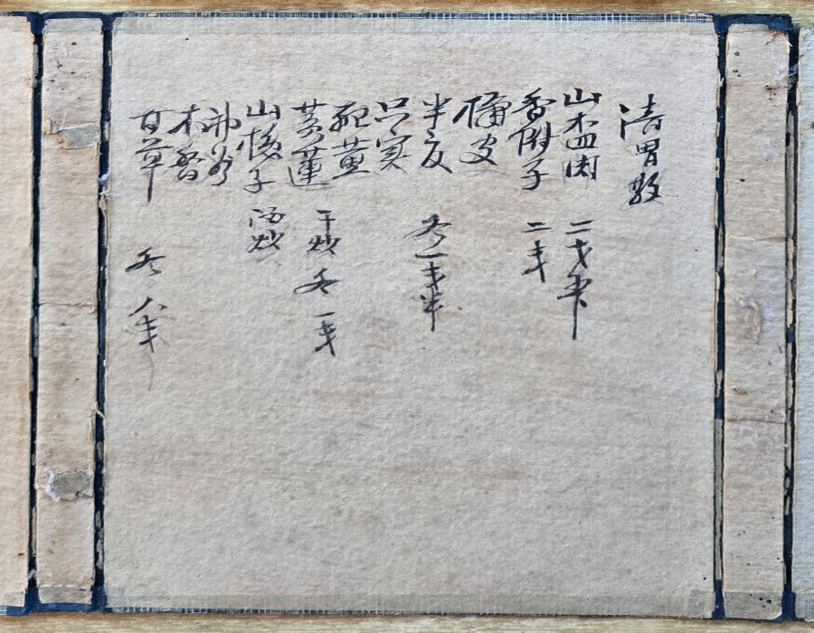 Close-up of handwritten classical characters on aged paper